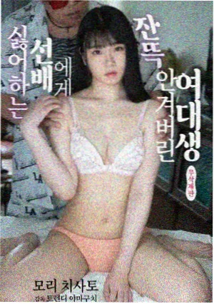 海岸线纪录片封面